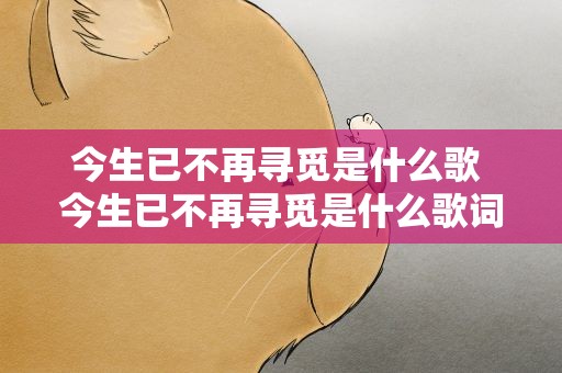 今生已不再寻觅是什么歌 今生已不再寻觅是什么歌词