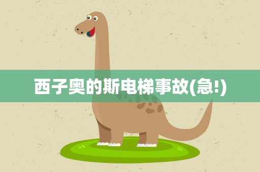 西子奥的斯电梯事故(急!)