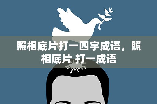 照相底片打一四字成语，照相底片 打一成语