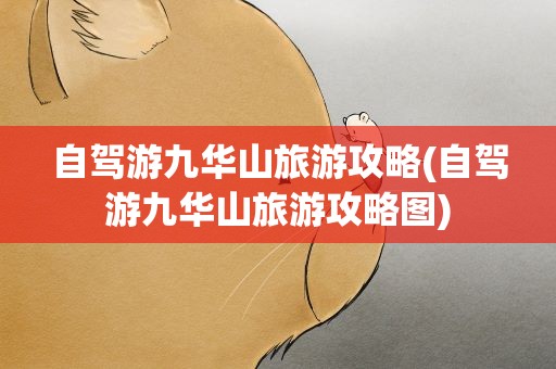 自驾游九华山旅游攻略(自驾游九华山旅游攻略图)