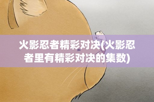 火影忍者精彩对决(火影忍者里有精彩对决的集数)