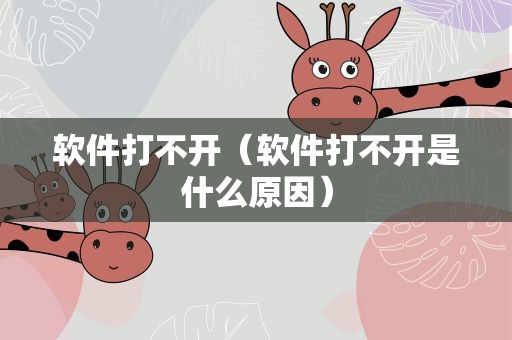 软件打不开（软件打不开是什么原因）
