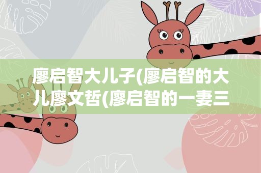 廖启智大儿子(廖启智的大儿廖文哲(廖启智的一妻三子))