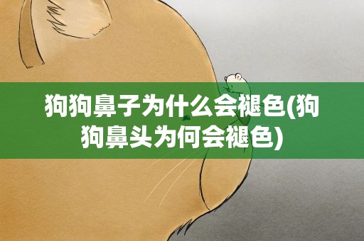 狗狗鼻子为什么会褪色(狗狗鼻头为何会褪色)