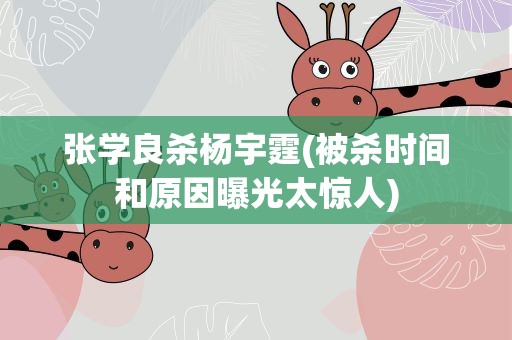 张学良杀杨宇霆(被杀时间和原因曝光太惊人)