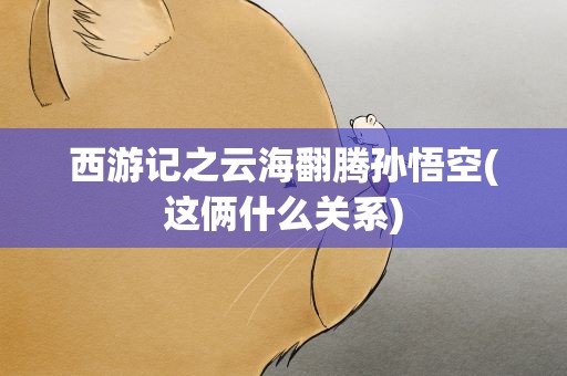 西游记之云海翻腾孙悟空(这俩什么关系)