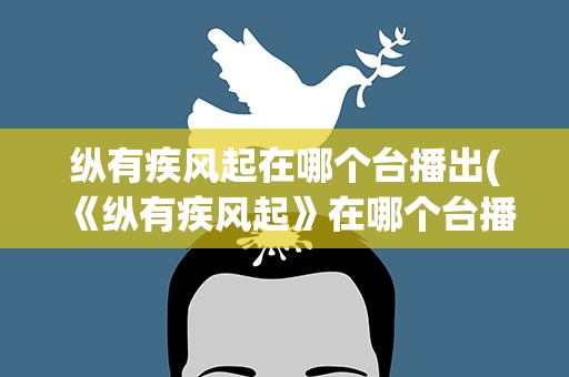 纵有疾风起在哪个台播出(《纵有疾风起》在哪个台播出)