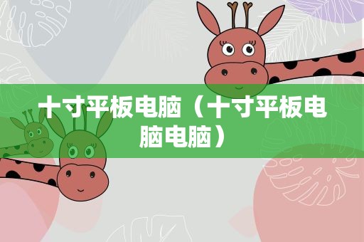 十寸平板电脑（十寸平板电脑电脑）