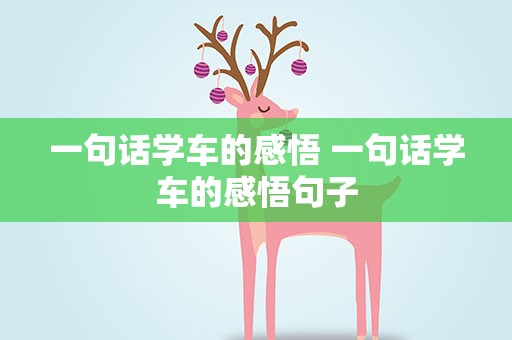 一句话学车的感悟 一句话学车的感悟句子