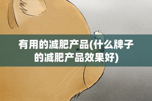 有用的减肥产品(什么牌子的减肥产品效果好)