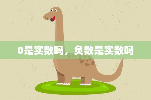 0是实数吗，负数是实数吗