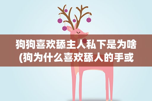 狗狗喜欢舔主人私下是为啥(狗为什么喜欢舔人的手或者腿等部位)
