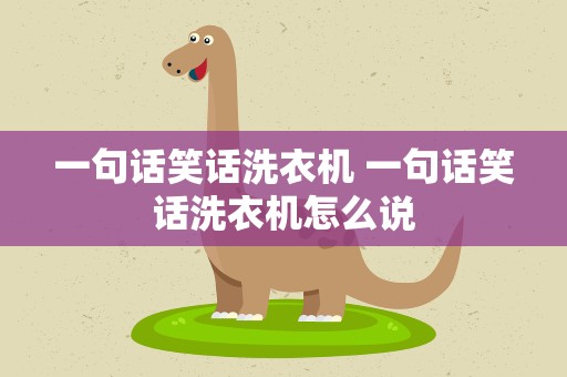 一句话笑话洗衣机 一句话笑话洗衣机怎么说