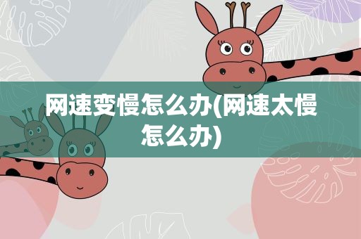 网速变慢怎么办(网速太慢怎么办)