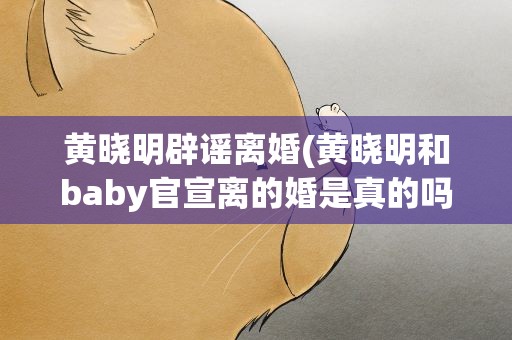 黄晓明辟谣离婚(黄晓明和baby官宣离的婚是真的吗)