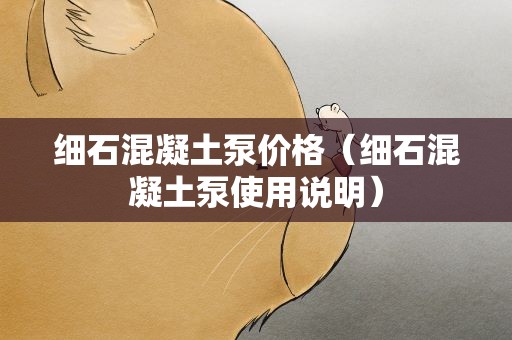 细石混凝土泵价格（细石混凝土泵使用说明）