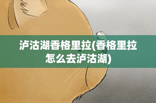 泸沽湖香格里拉(香格里拉怎么去泸沽湖)
