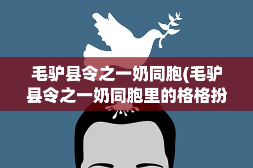 毛驴县令之一奶同胞(毛驴县令之一奶同胞里的格格扮演者)