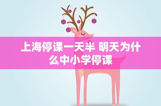 上海停课一天半 明天为什么中小学停课