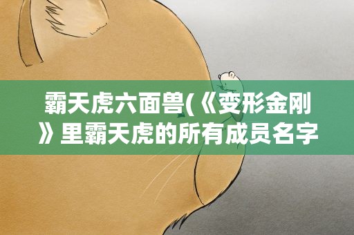 霸天虎六面兽(《变形金刚》里霸天虎的所有成员名字)