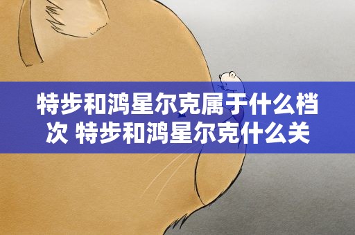 特步和鸿星尔克属于什么档次 特步和鸿星尔克什么关系