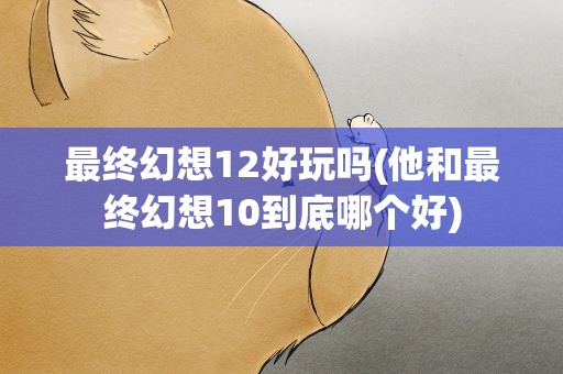 最终幻想12好玩吗(他和最终幻想10到底哪个好)