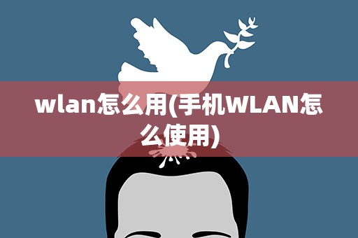wlan怎么用(手机WLAN怎么使用)