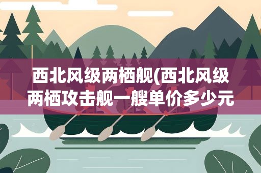 西北风级两栖舰(西北风级两栖攻击舰一艘单价多少元)