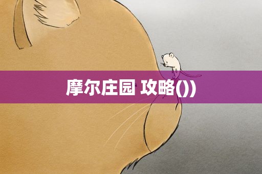摩尔庄园 攻略())