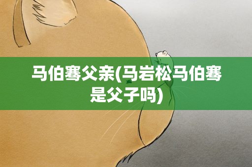 马伯骞父亲(马岩松马伯骞是父子吗)