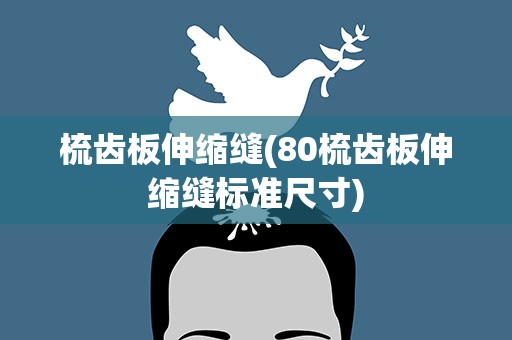梳齿板伸缩缝(80梳齿板伸缩缝标准尺寸)