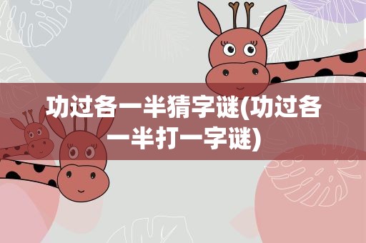 功过各一半猜字谜(功过各一半打一字谜)