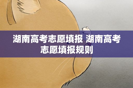 湖南高考志愿填报 湖南高考志愿填报规则