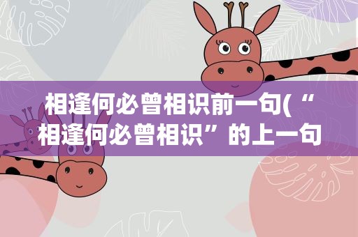 相逢何必曾相识前一句(“相逢何必曾相识”的上一句是什么)