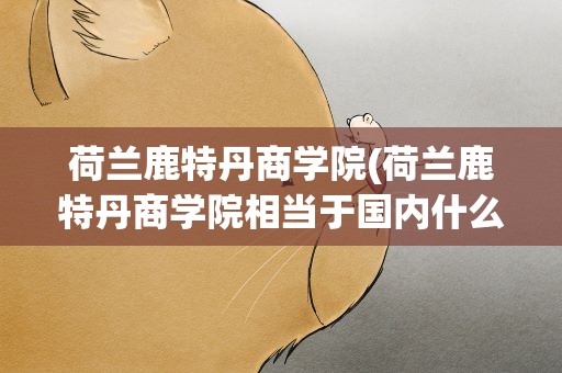 荷兰鹿特丹商学院(荷兰鹿特丹商学院相当于国内什么)