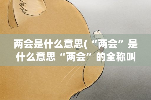 两会是什么意思(“两会”是什么意思“两会”的全称叫什么)