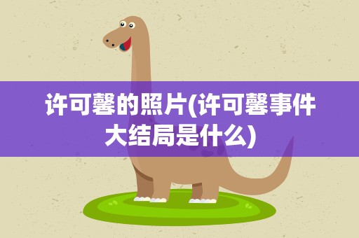 许可馨的照片(许可馨事件大结局是什么)