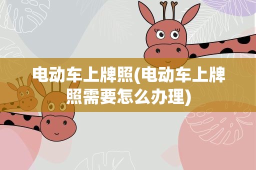 电动车上牌照(电动车上牌照需要怎么办理)