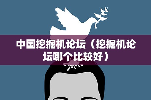 中国挖掘机论坛（挖掘机论坛哪个比较好）