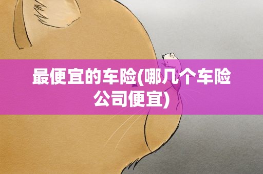 最便宜的车险(哪几个车险公司便宜)