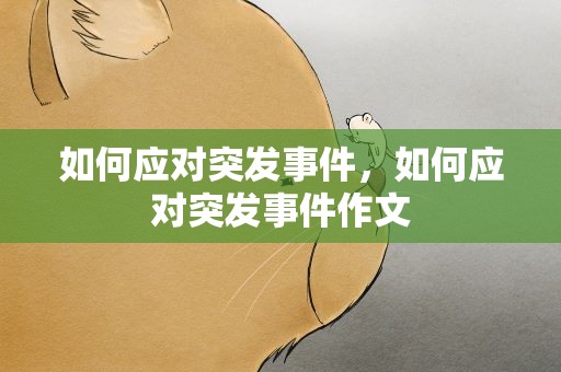 如何应对突发事件，如何应对突发事件作文