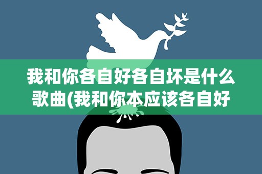 我和你各自好各自坏是什么歌曲(我和你本应该各自好各自坏是什么歌)