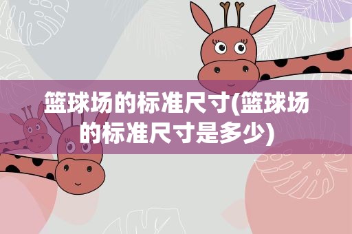 篮球场的标准尺寸(篮球场的标准尺寸是多少)