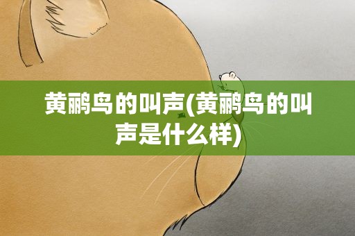 黄鹂鸟的叫声(黄鹂鸟的叫声是什么样)