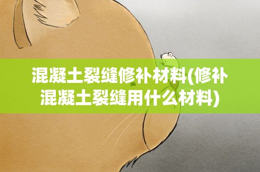 混凝土裂缝修补材料(修补混凝土裂缝用什么材料)
