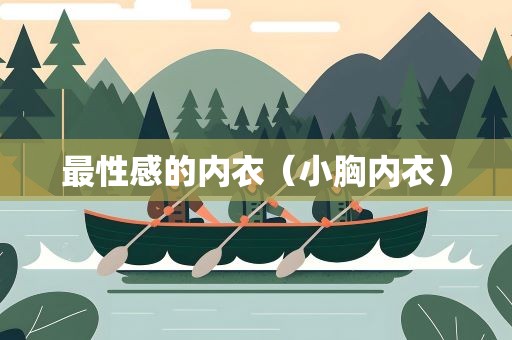 最性感的内衣（小胸内衣）