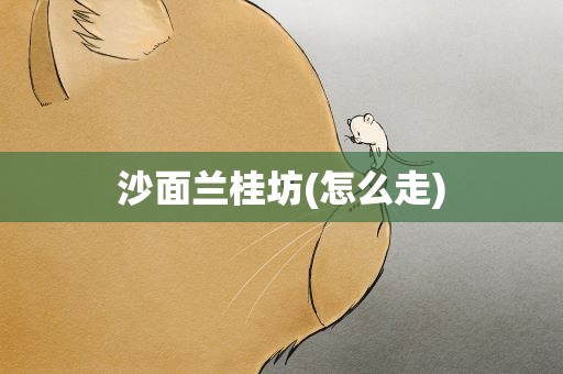沙面兰桂坊(怎么走)