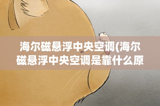 海尔磁悬浮中央空调(海尔磁悬浮中央空调是靠什么原理这么节能呢)