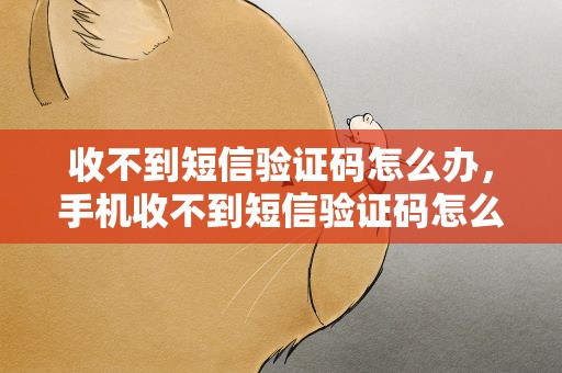 收不到短信验证码怎么办，手机收不到短信验证码怎么办