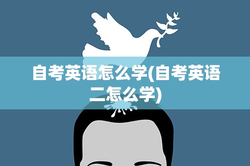 自考英语怎么学(自考英语二怎么学)